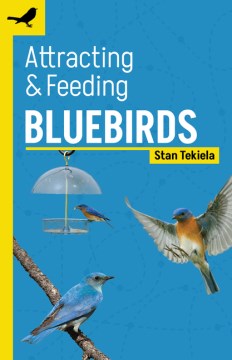 Attracting & Feeding Bluebirds - MPHOnline.com