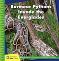 Burmese Pythons Invade the Everglades - MPHOnline.com