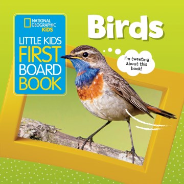 Birds  (National Geographic Kids Little Kids First Board Book) (BRDBK) - MPHOnline.com