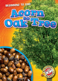 Acorn to Oak Tree - MPHOnline.com