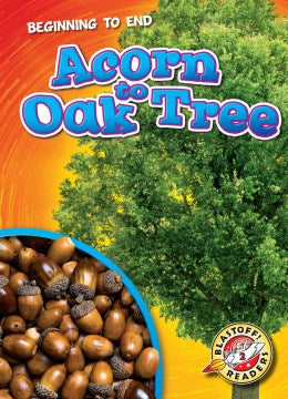 Acorn to Oak Tree - MPHOnline.com