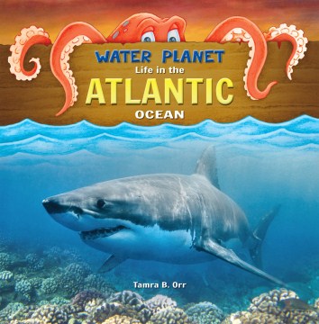 Life in the Atlantic Ocean - MPHOnline.com