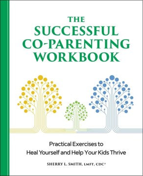 The Successful Co-Parenting Workbook - MPHOnline.com