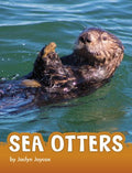 Sea Otters - MPHOnline.com