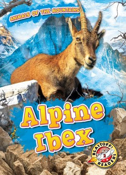 Alpine Ibex - MPHOnline.com