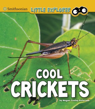 Cool Crickets - MPHOnline.com