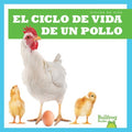 El ciclo de vida de un pollo/ A Chicken's Life Cycle - MPHOnline.com