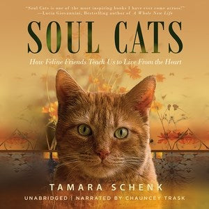 Soul Cats - MPHOnline.com