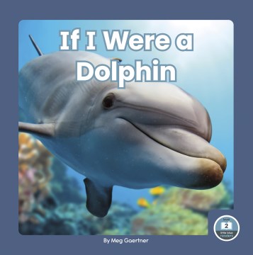 If I Were a Dolphin - MPHOnline.com