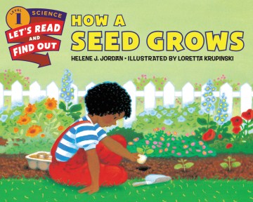 How a Seed Grows - MPHOnline.com