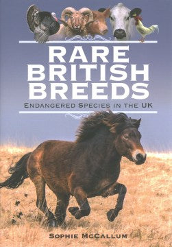 Rare British Breeds - MPHOnline.com