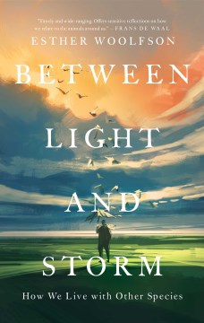 Between Light and Storm - MPHOnline.com