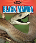 Black Mamba - MPHOnline.com