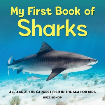 My First Book of Sharks - MPHOnline.com