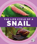 The Life Cycle of a Snail - MPHOnline.com