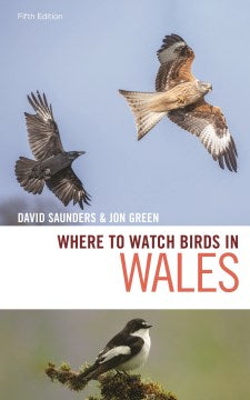 Where to Watch Birds in Wales - MPHOnline.com