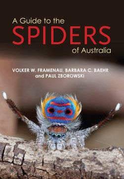 A Guide to Spiders of Australia - MPHOnline.com