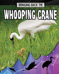 Bringing Back the Whooping Crane - MPHOnline.com