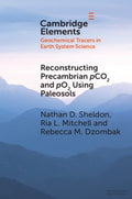 Reconstructing Precambrian pCO2 and pO2 Using Paleosols - MPHOnline.com