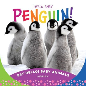 Hello Baby Penguin! - MPHOnline.com