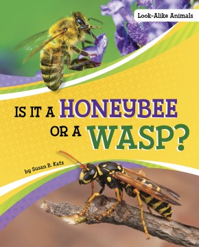 Is It a Honeybee or a Wasp? - MPHOnline.com