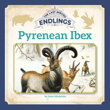 Pyrenean Ibex - MPHOnline.com