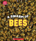 A Swarm of Bees - MPHOnline.com