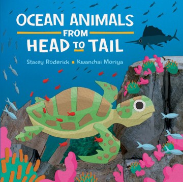 Ocean Animals from Head to Tail - MPHOnline.com