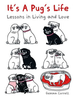 It's a Pug's Life - MPHOnline.com