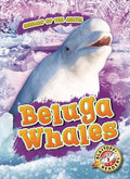 Beluga Whales - MPHOnline.com