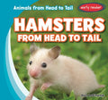 Hamsters from Head to Tail - MPHOnline.com