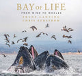 Bay of Life - MPHOnline.com