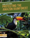 Protecting the Amazon Rainforest - MPHOnline.com