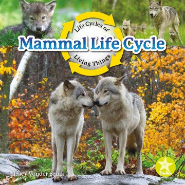 Mammal Life Cycle - MPHOnline.com