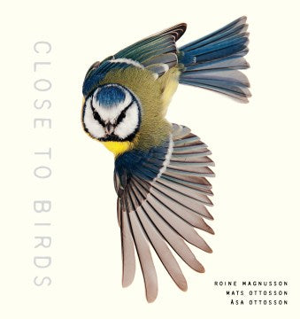 Close to Birds - MPHOnline.com