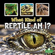 What Kind of Reptile Am I? - MPHOnline.com