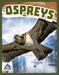 Ospreys - MPHOnline.com