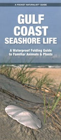 Gulf Coast Seashore Life - MPHOnline.com