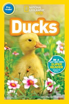 Ducks - MPHOnline.com