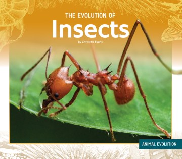 The Evolution of Insects - MPHOnline.com