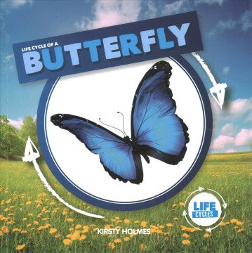 Life Cycle of a Butterfly - MPHOnline.com