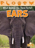 Ears - MPHOnline.com