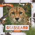 Grassland Food Webs - MPHOnline.com