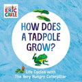 How Does a Tadpole Grow? - MPHOnline.com