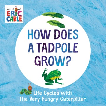 How Does a Tadpole Grow? - MPHOnline.com