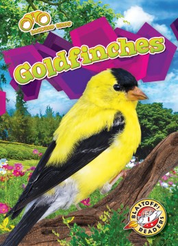 Goldfinches - MPHOnline.com