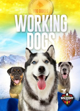 Working Dogs - MPHOnline.com