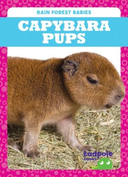 Capybara Pups - MPHOnline.com