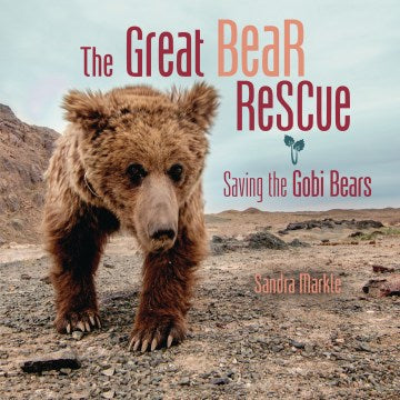 The Great Bear Rescue - MPHOnline.com