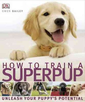 How to Train a Superpuppy - MPHOnline.com